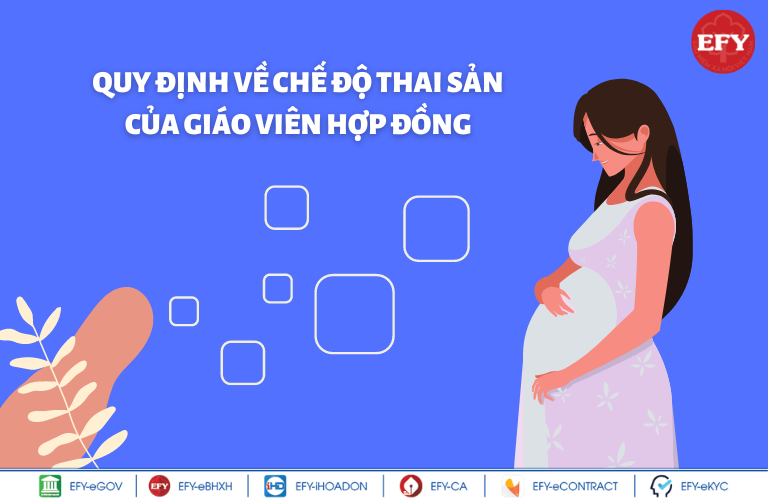 Giáo viên hợp đồng có được hưởng chế độ thai sản hay không?