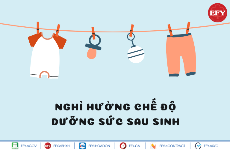 Giáo viên hợp đồng có được hưởng chế độ thai sản hay không?